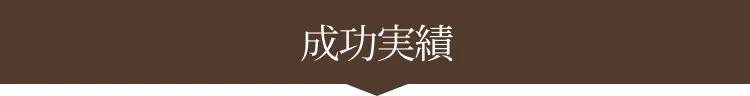 成功事例