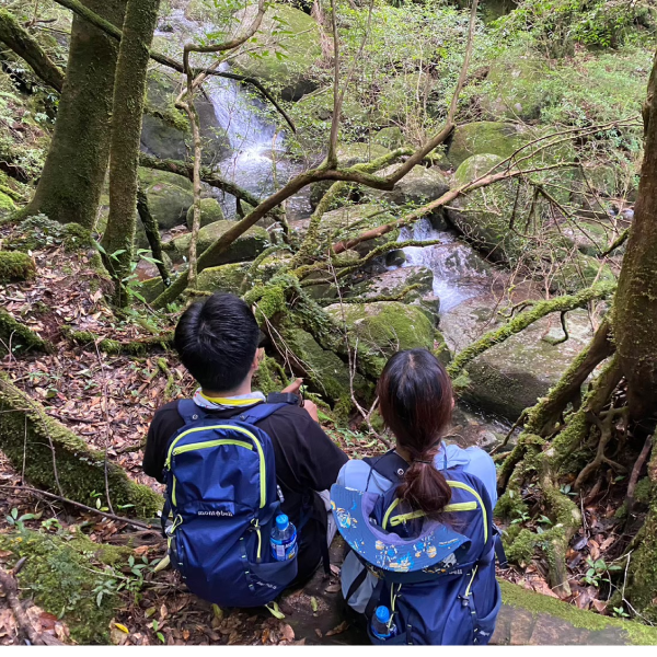 屋久島旅行の写真
